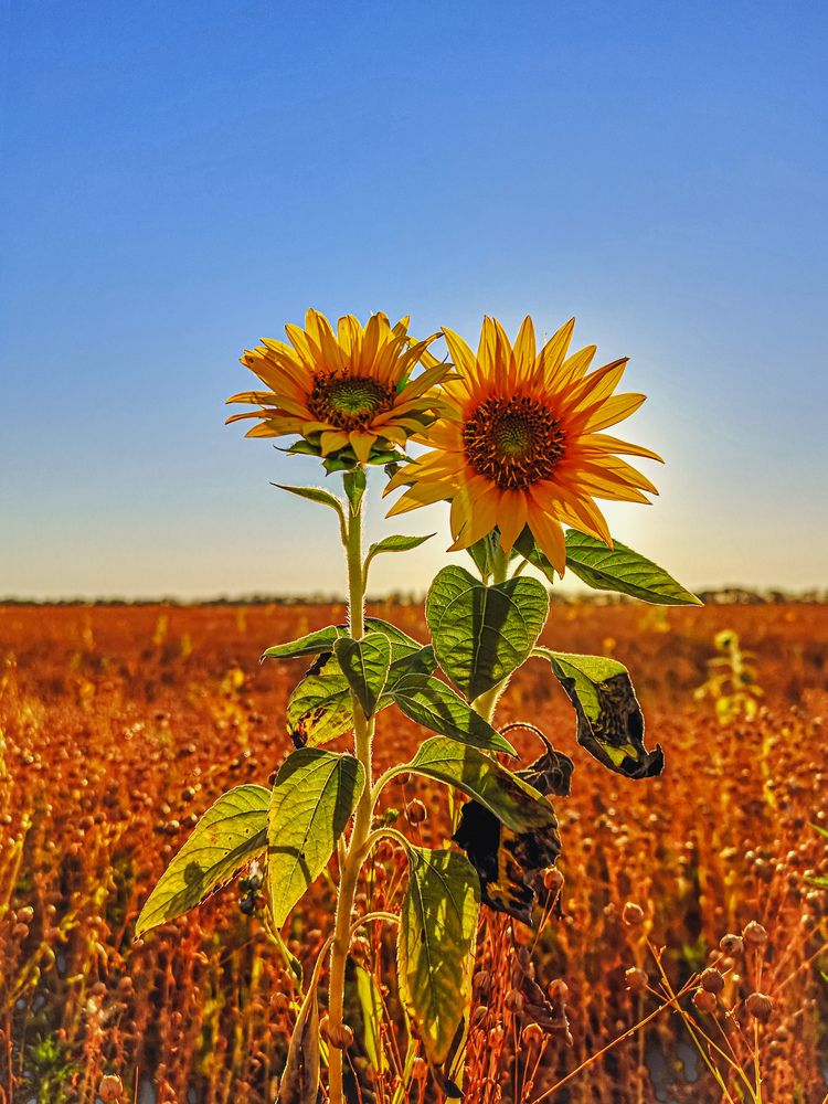 Photograph by Алексей Гуминский