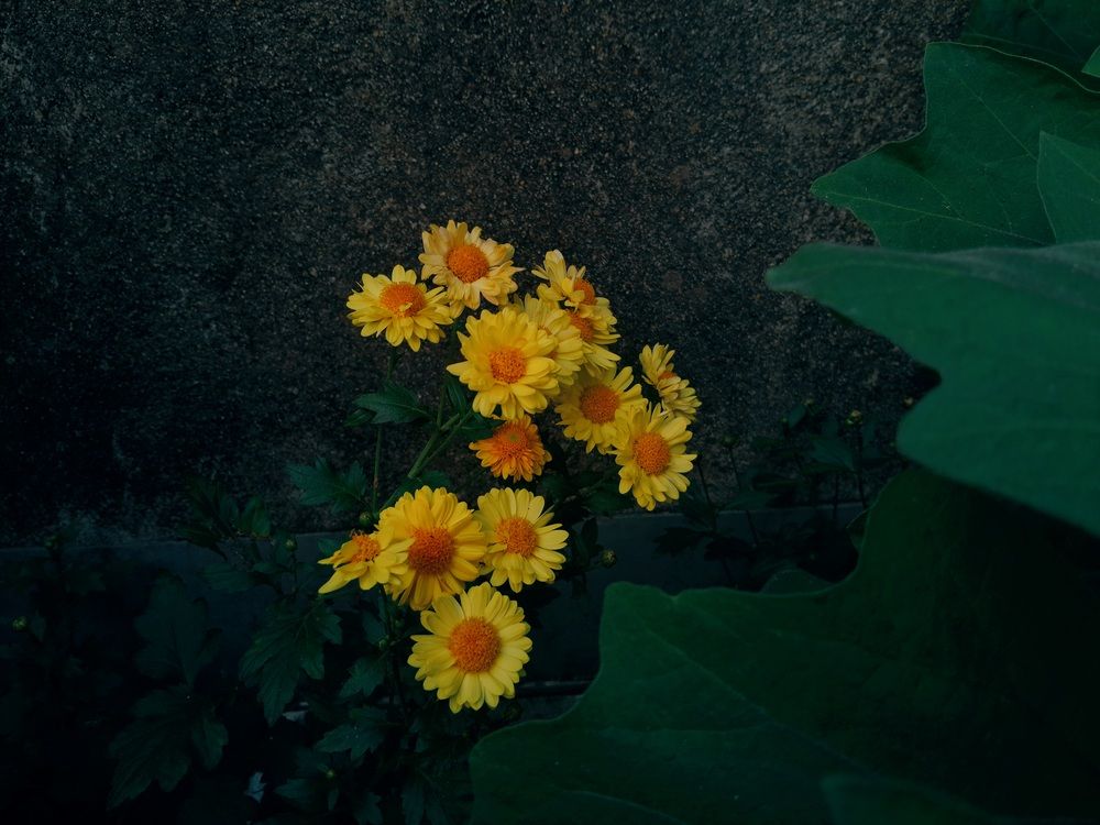 Photo #12627091