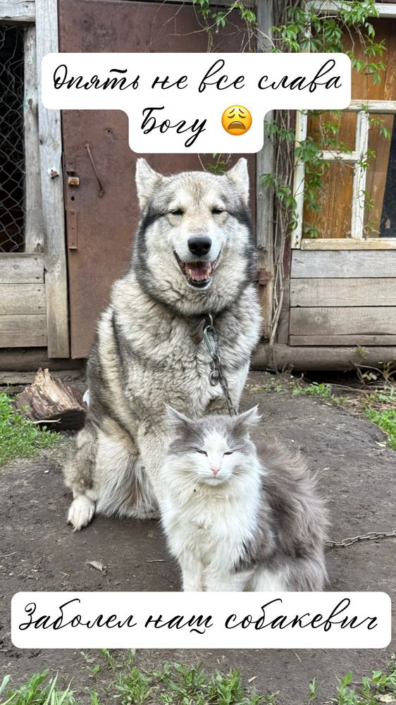 Photograph by Елена Гущина