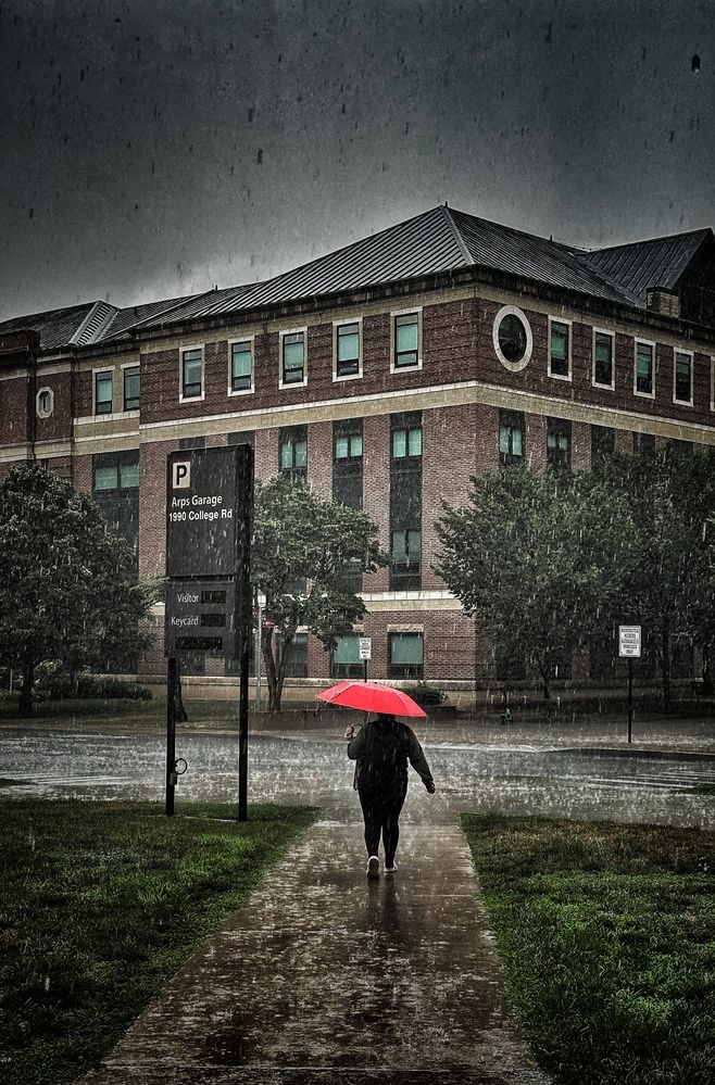 Photograph by Юлия Порфирьева