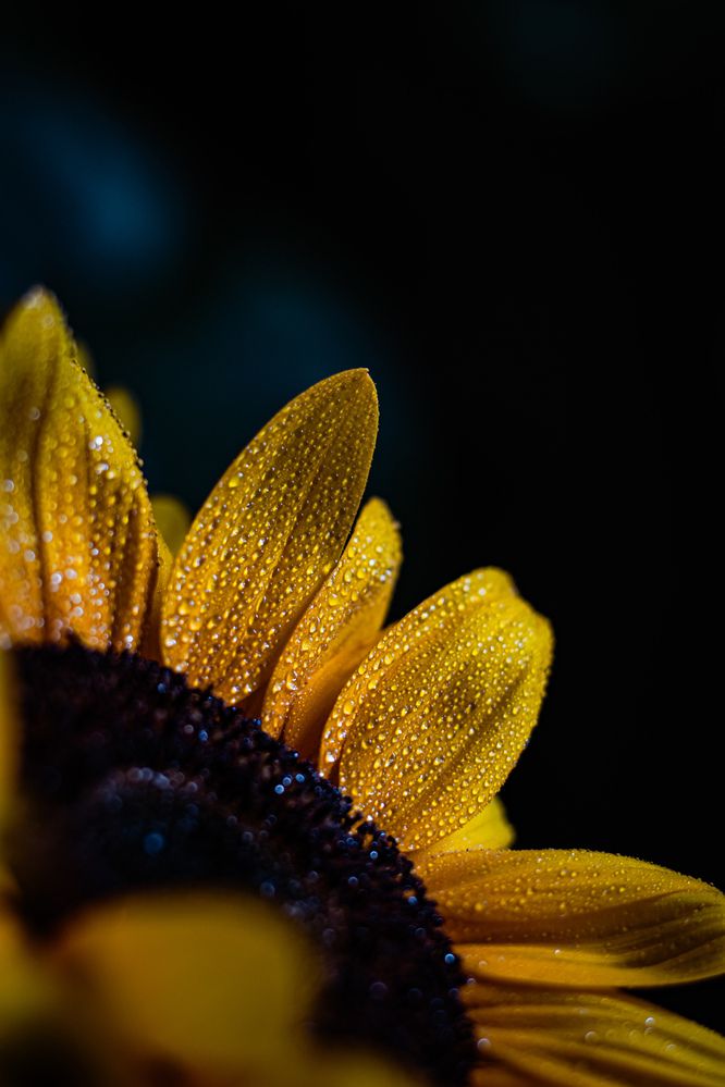 Photograph by amin roshan afshar