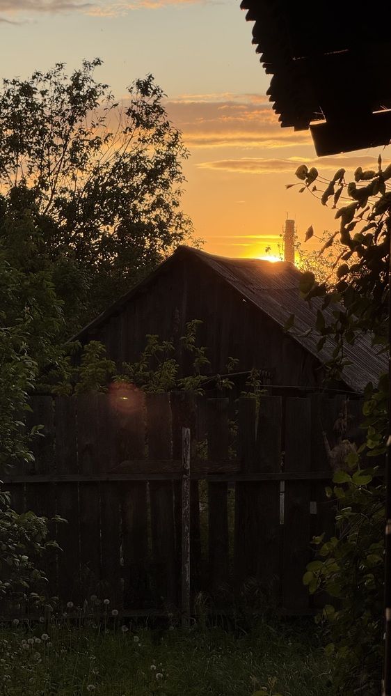 Photograph by Елена Гущина