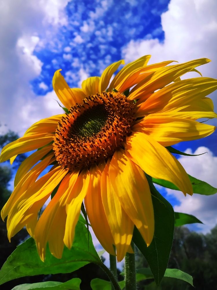 Photograph by Любовь Коровацкая