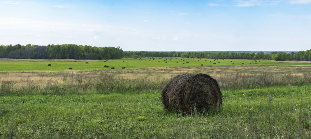 Photograph by Георгий Иванов