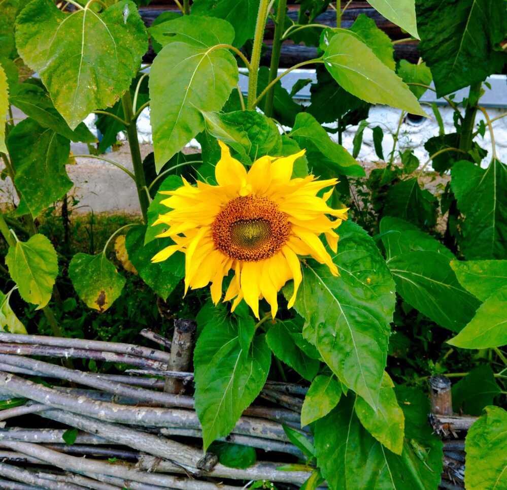 Фотография автора Галина Бобкина