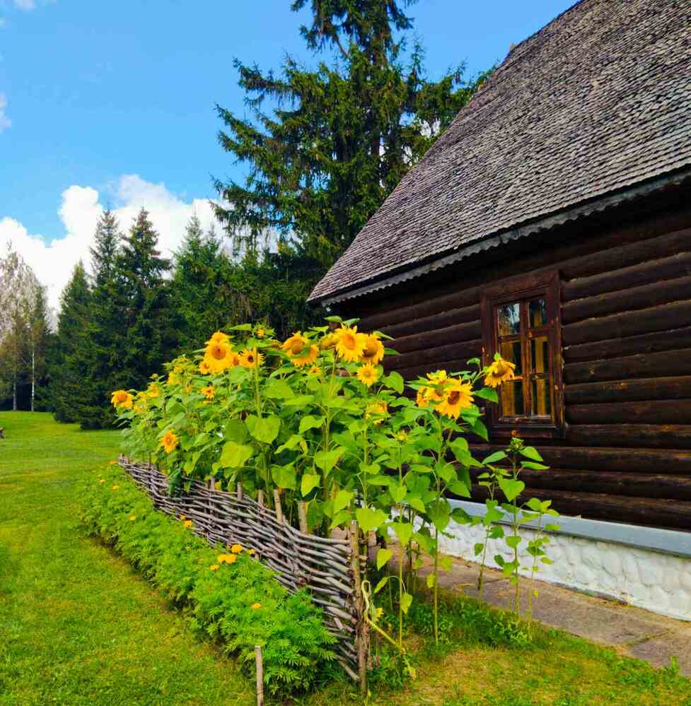 Фотография автора Галина Бобкина