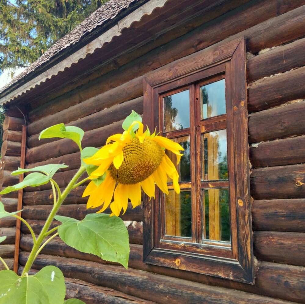 Фотография автора Галина Бобкина