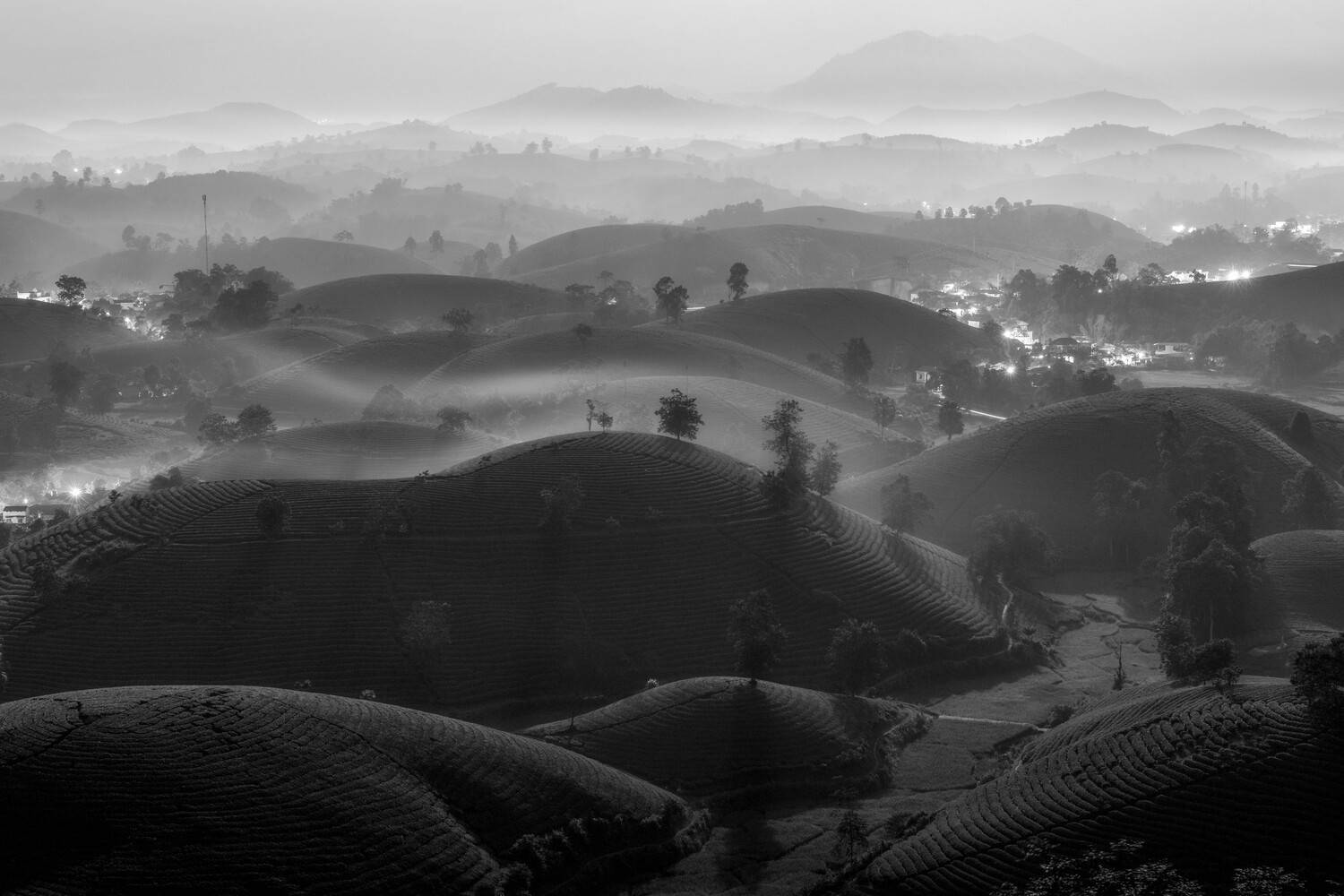 Long Coc Moonlit Night