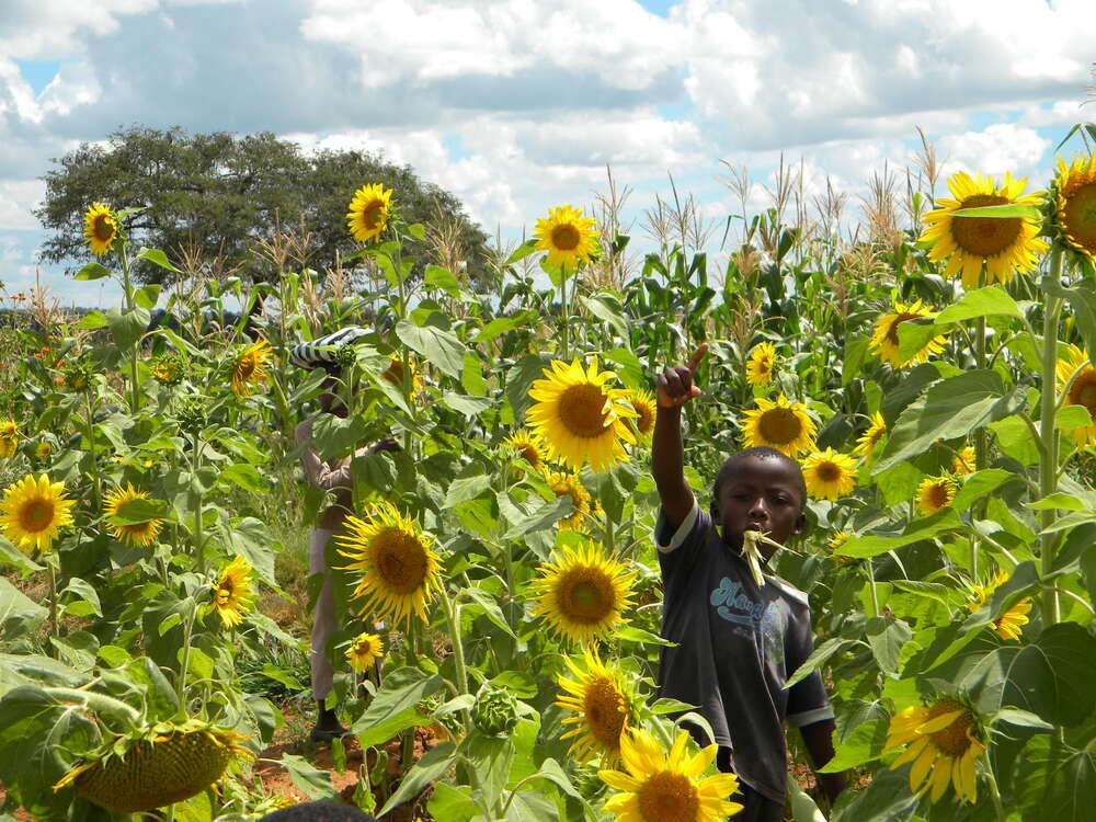 Photograph by RODRIGO SARACENI