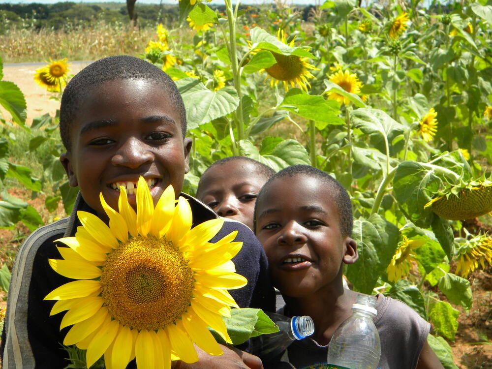 Photograph by RODRIGO SARACENI