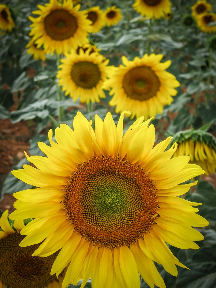 Photograph by Дария Максимова