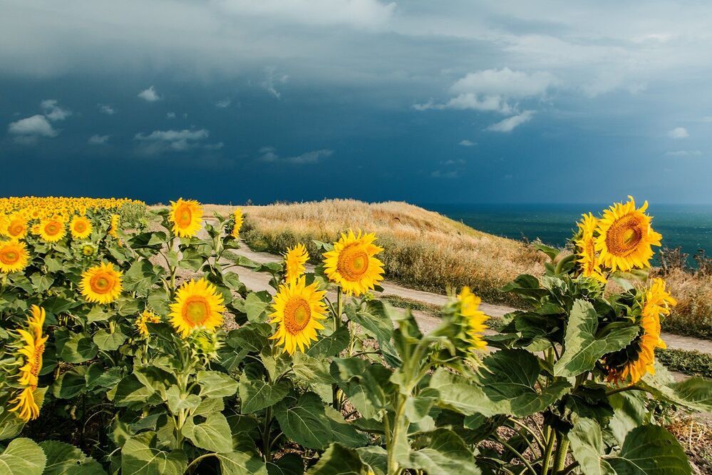 Photograph by Илья Михеев