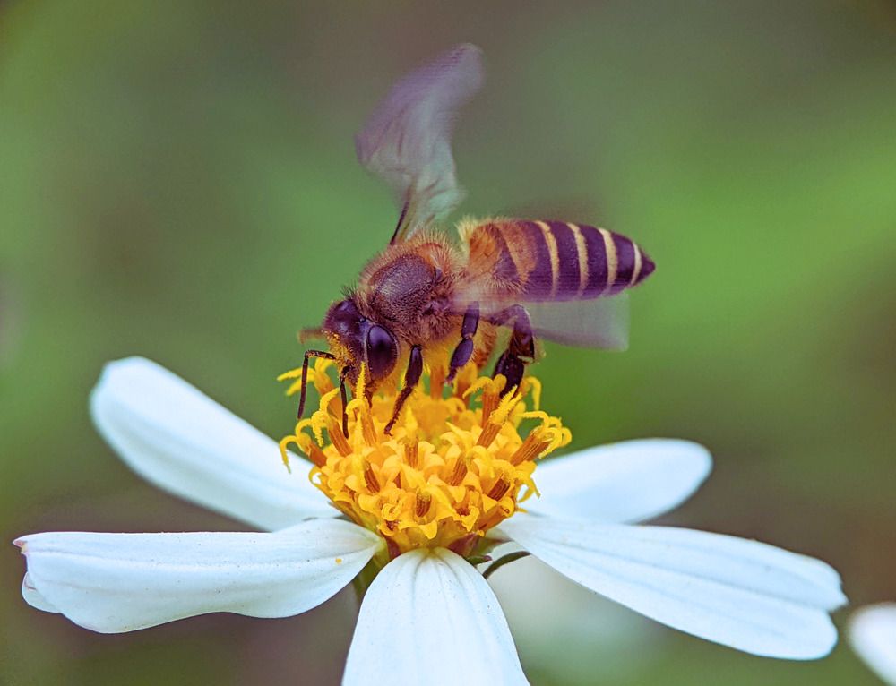 Photograph by QUYẾT TRỌNG NGUYỄN