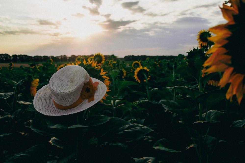 Фотография автора OXANA NAUMOVA