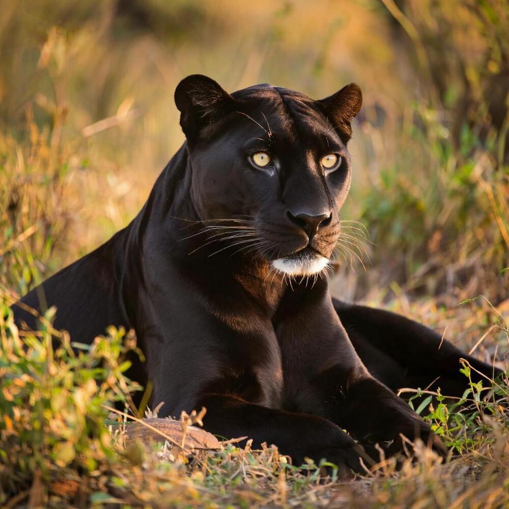 Фотография автора Виталий Дузь