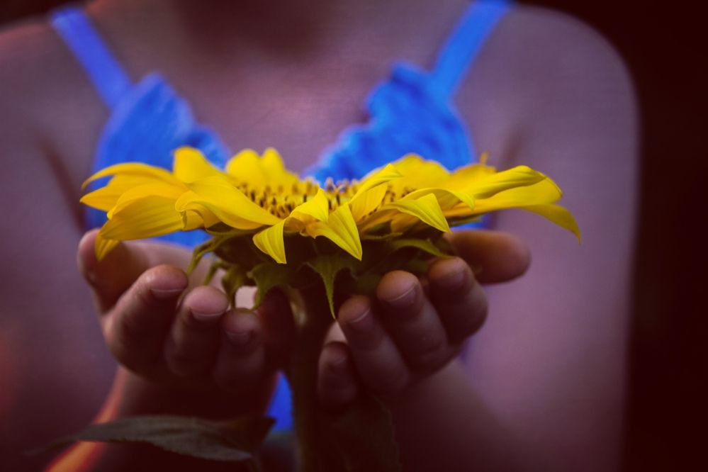 Фотография автора OXANA NAUMOVA