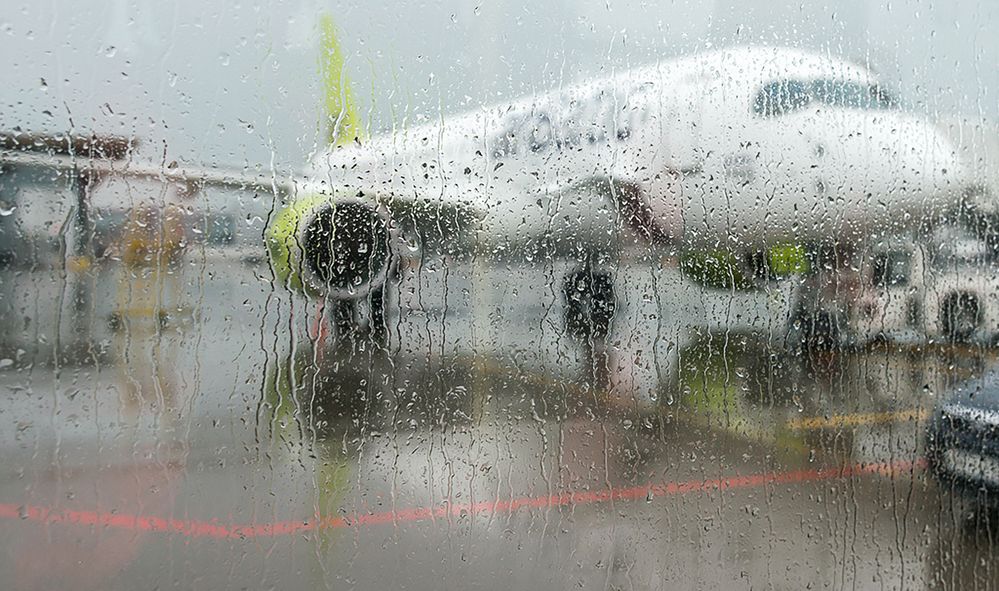 Photograph by Мария Новоселецкая