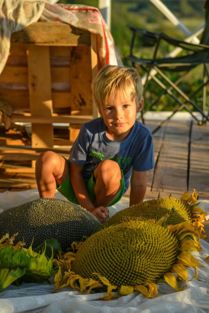 Photograph by Анастасия Гурова