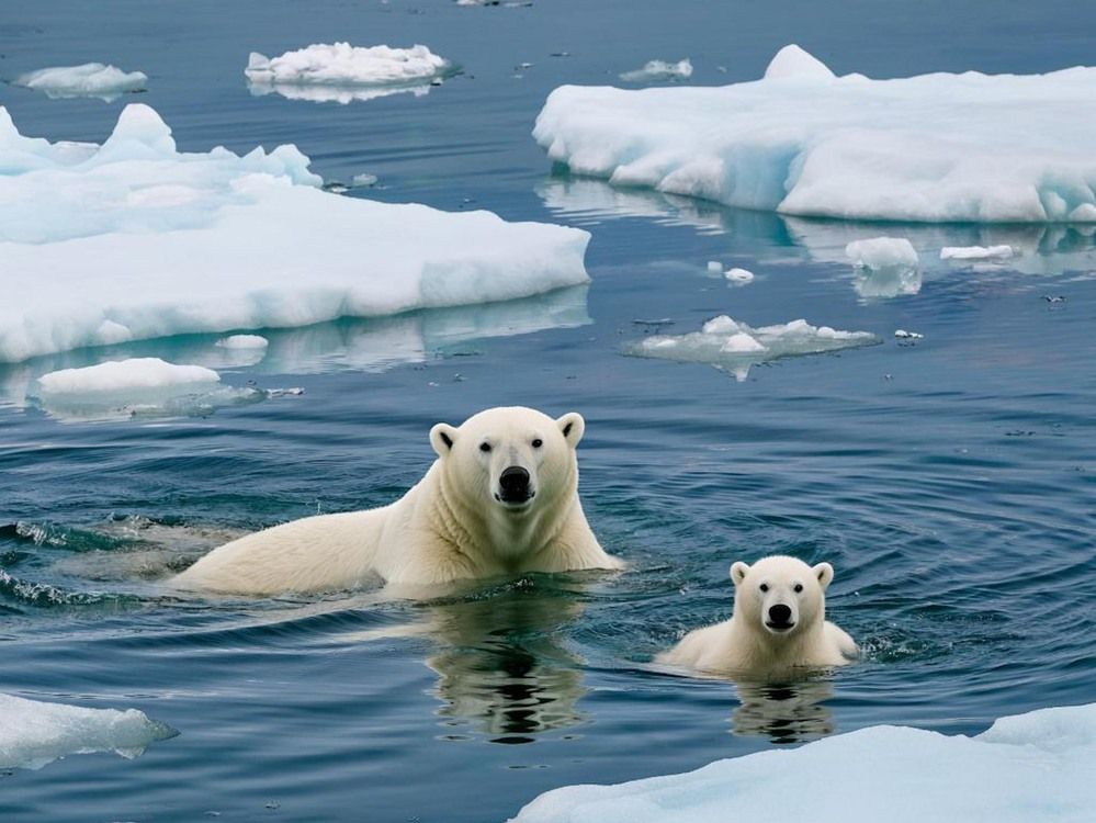 Фотография автора OXANA NAUMOVA