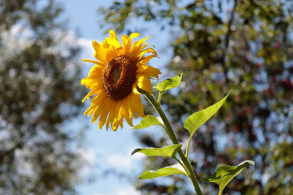 Photograph by Пётр Калачев