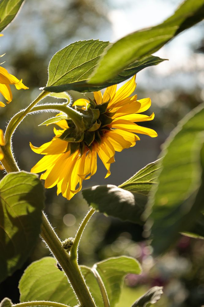 Photograph by Пётр Калачев