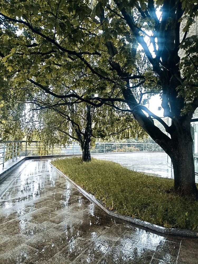 Photograph by Сюзанна