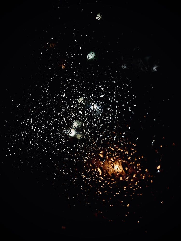 Фотография автора Елизавета Станкевич