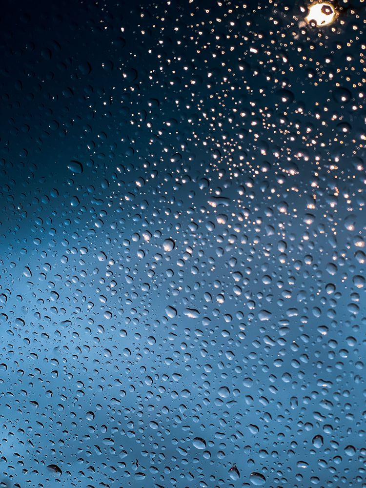 Фотография автора Елизавета Станкевич