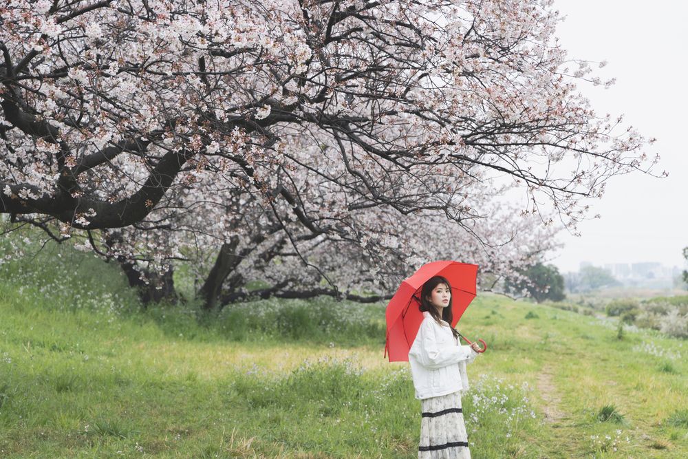 Фотография автора Kurouzu Setsuna