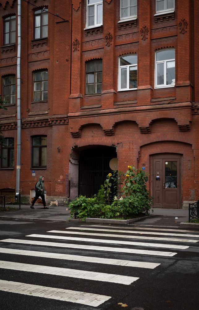 Photograph by Антонец Максим