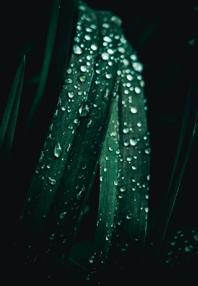 Photograph by Elena Chilikina