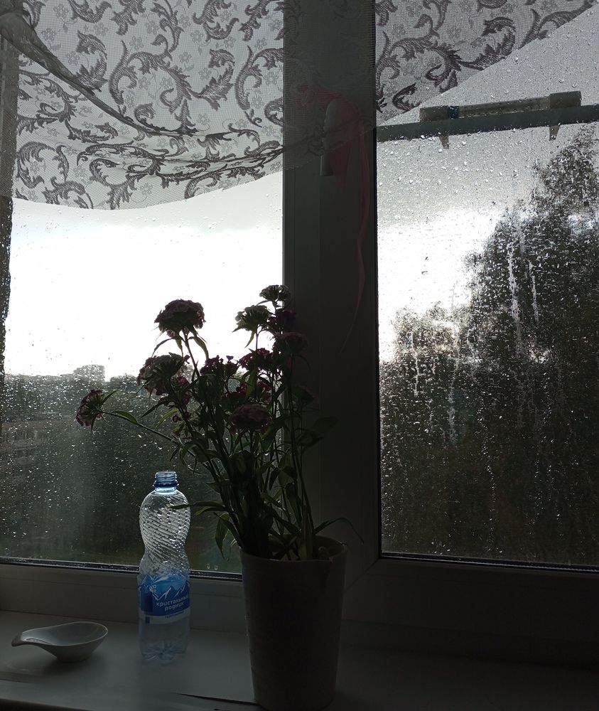 Photograph by Татьяна Кунц