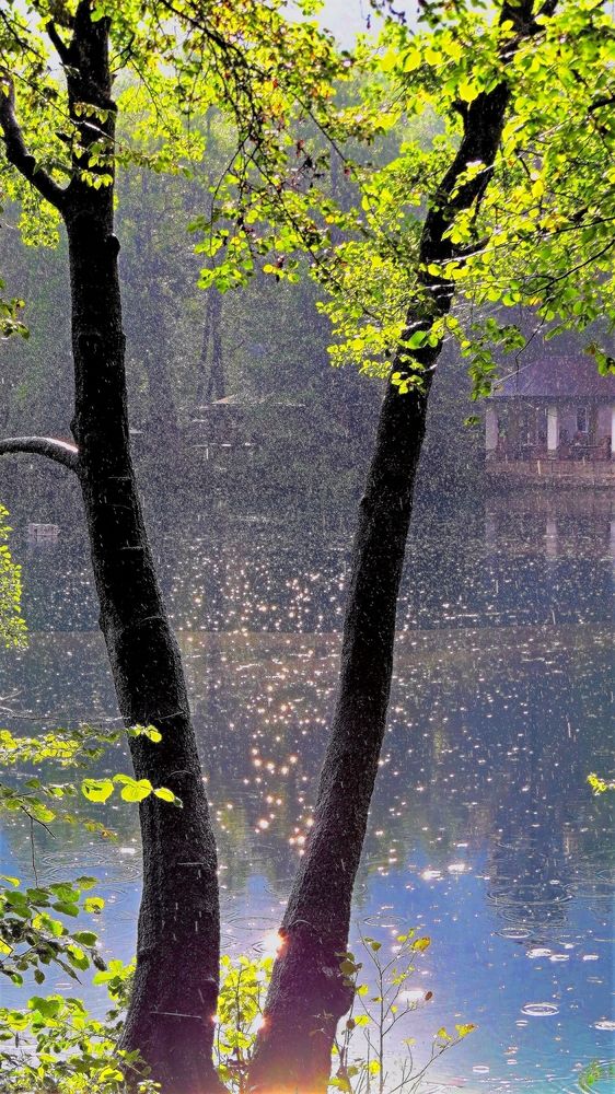 Дождь на озере