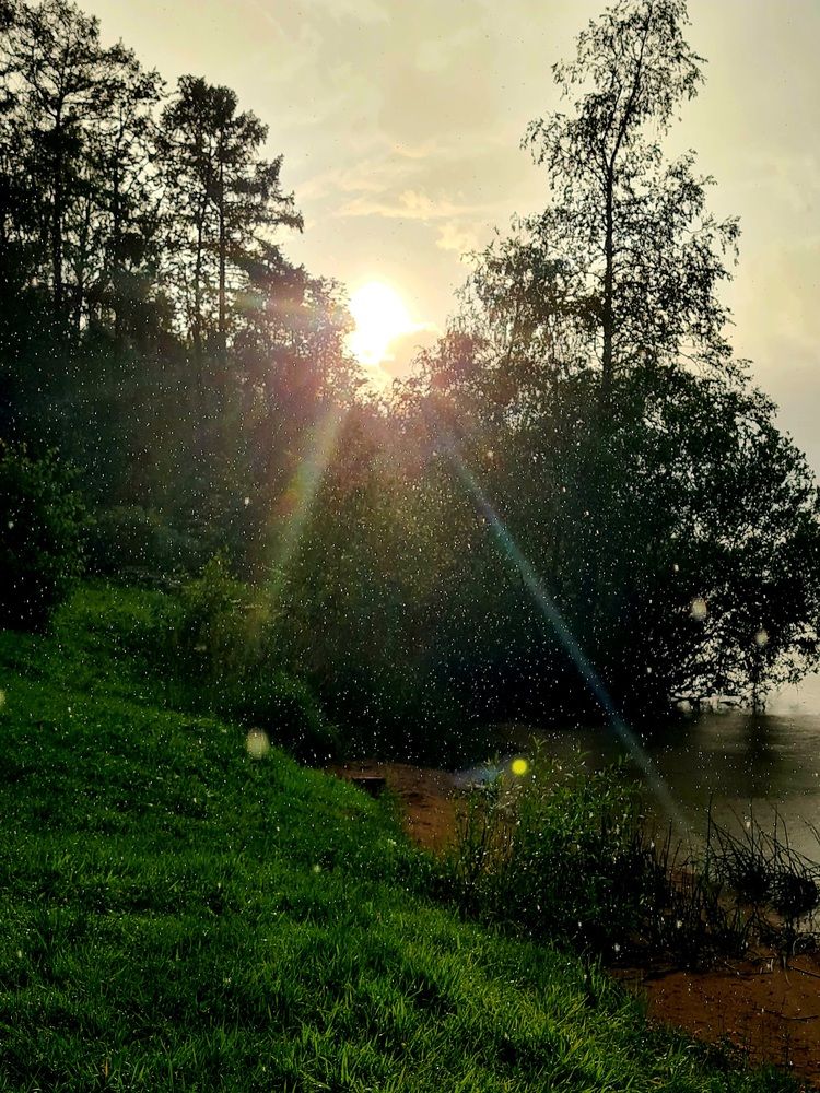 Photograph by Ирина Синягина