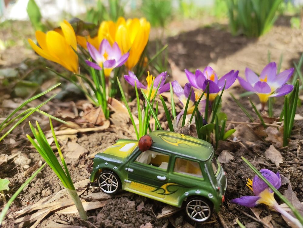 Photograph by Олеся