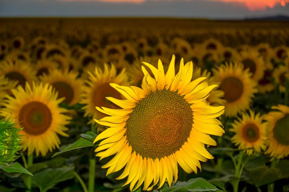 Photograph by Епишев Андрей