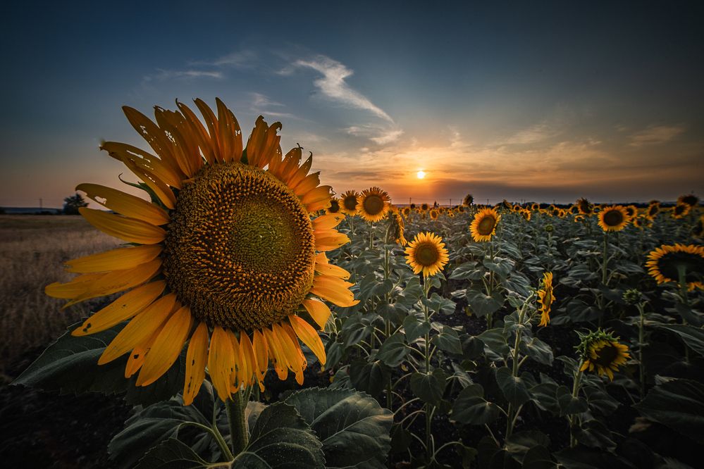 Photograph by Филипп Бабенко