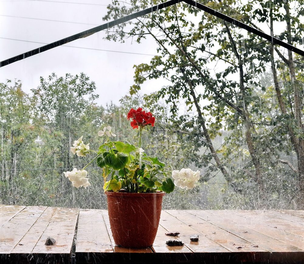 Купание под дождем.