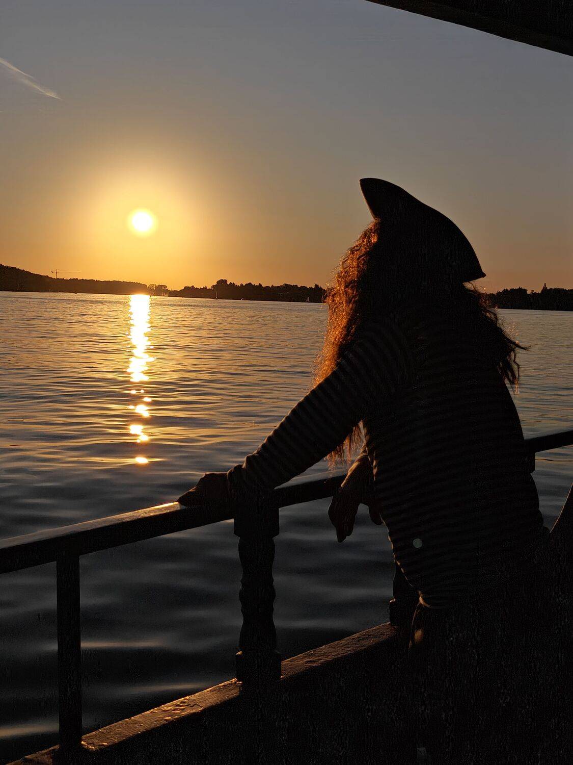 Photo #12627993