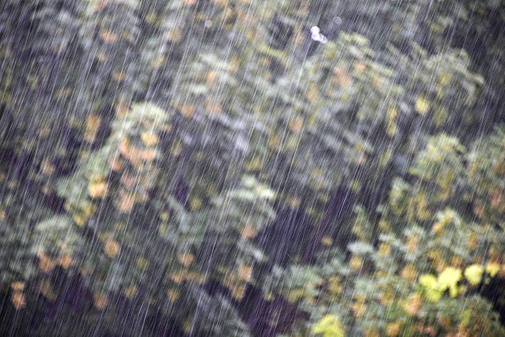 Photograph by Stojan Saveski