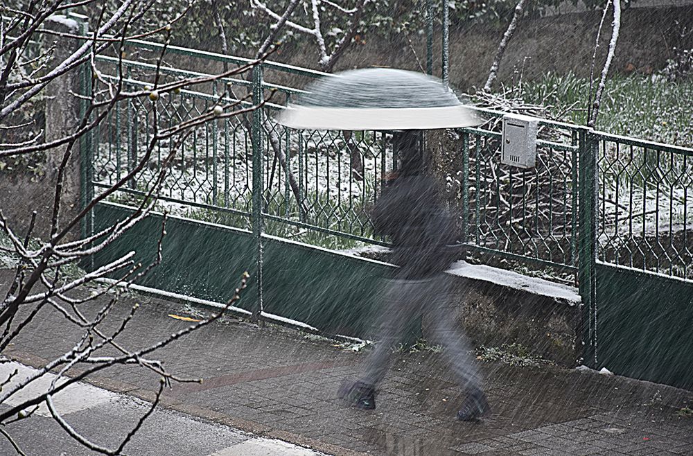 Photograph by Stojan Saveski