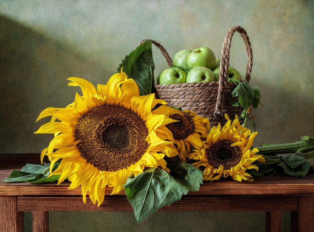 Photograph by Ирина Зиннурова