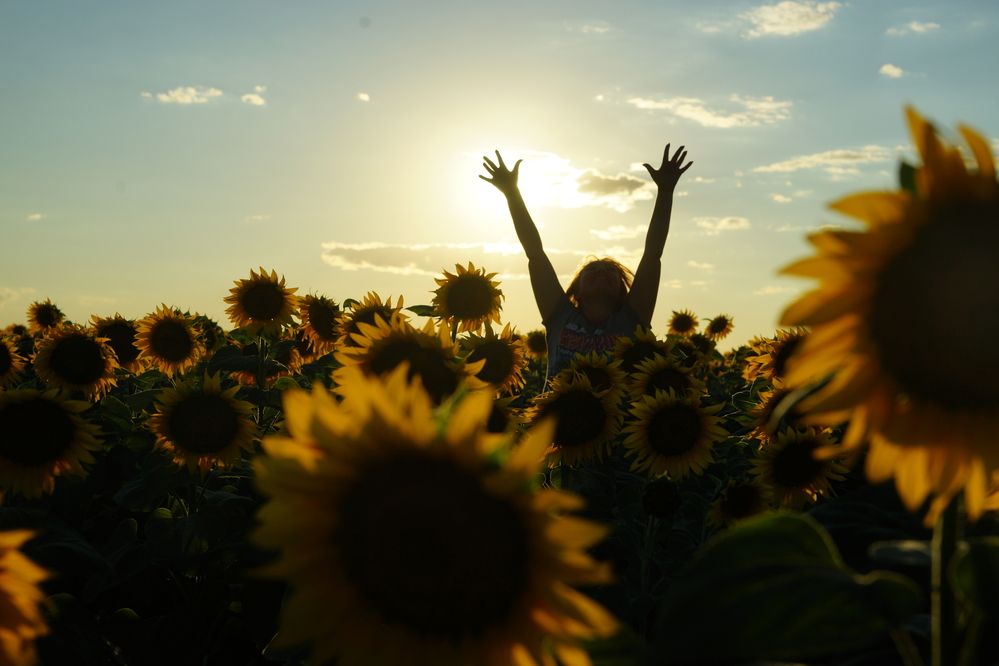 Фотография автора Светлана Зимина