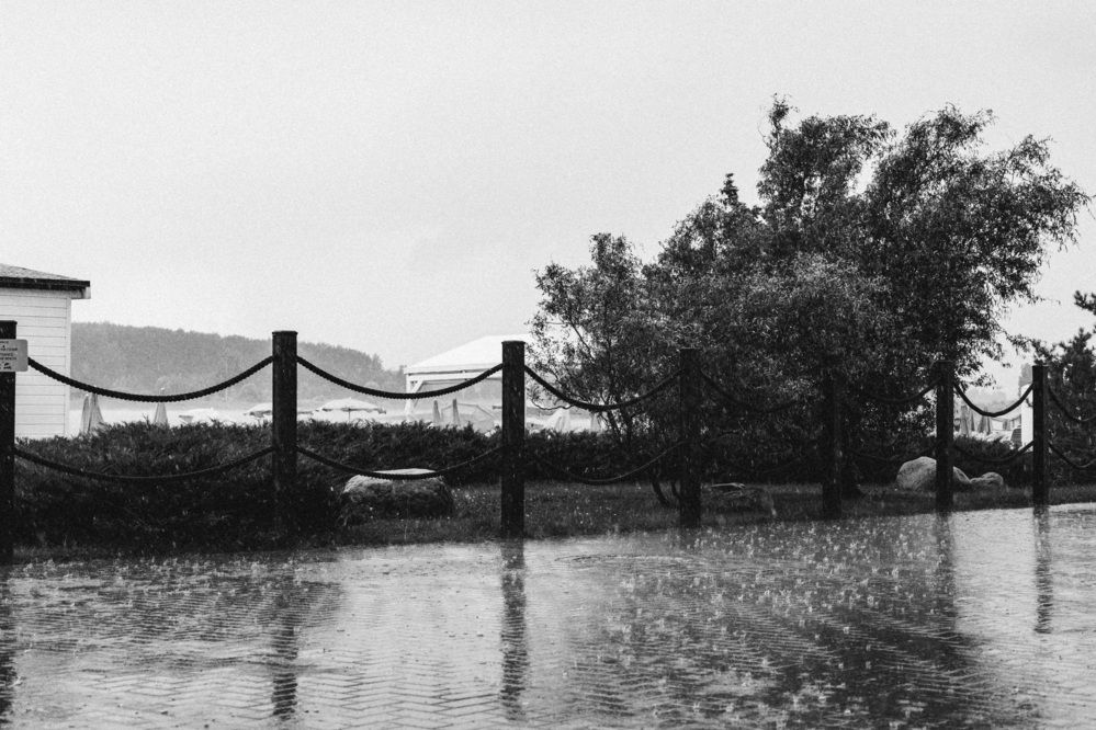 Photograph by Шугаева Александра