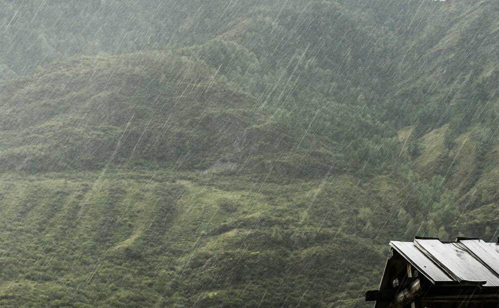 Photograph by Владимир Зубов