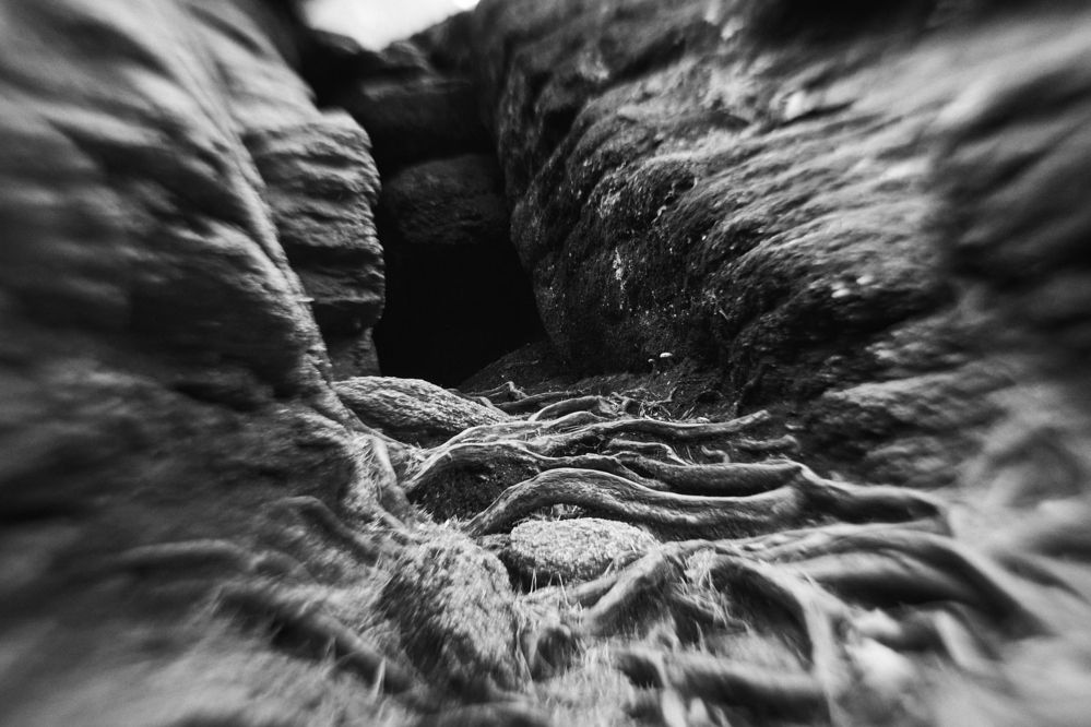 Photograph by Dayneko Tatyana