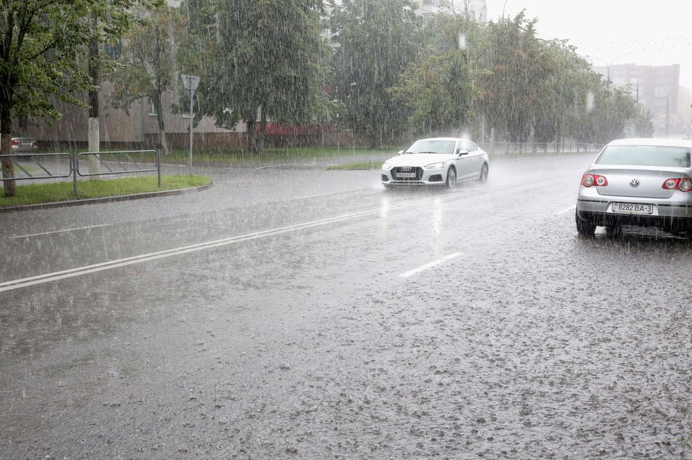 Фотография автора Николай Семенец