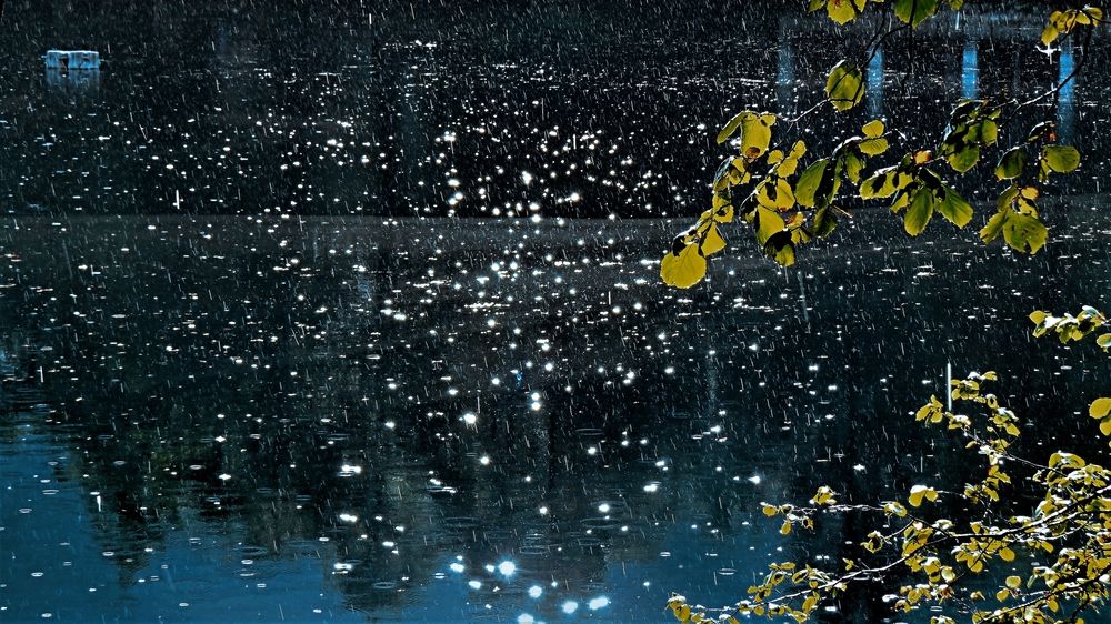 Солнечные зайчики от дождя