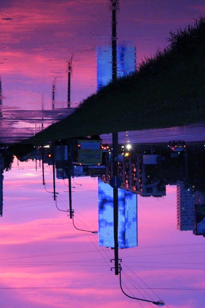 Photograph by Светлана Шубина