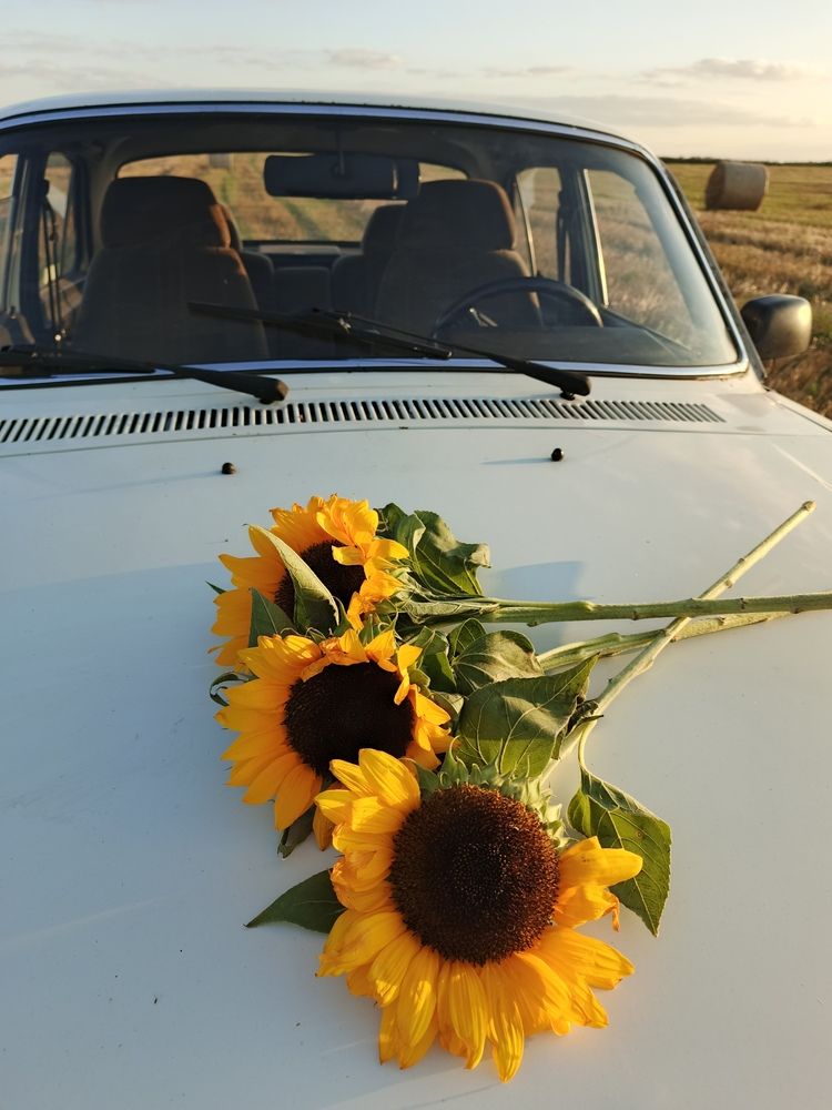 Photograph by Даниил Ларионов